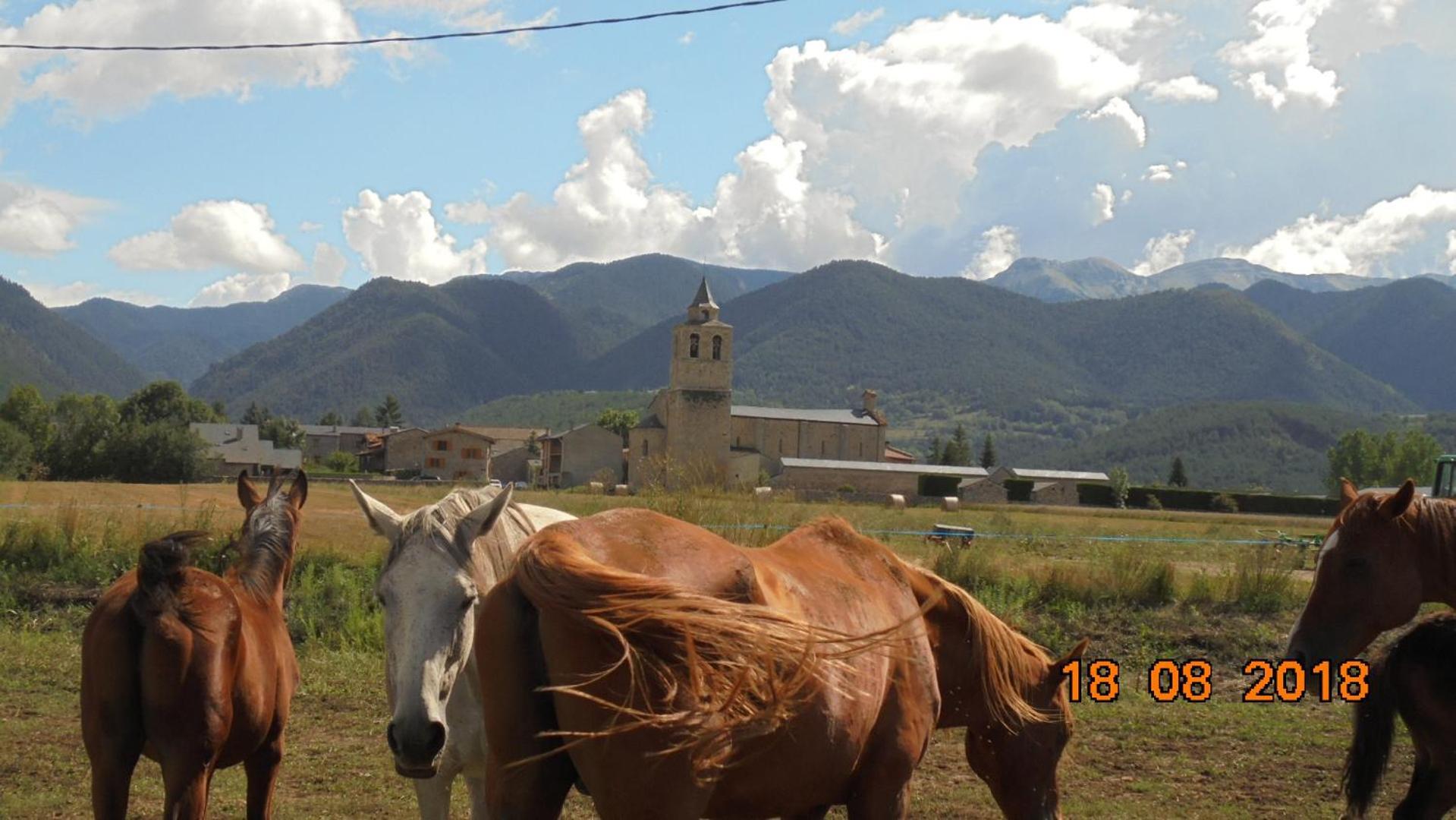 Can Vall Bellver Bellver De Cerdanya Exterior foto